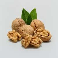 আখরোট 500gm (premium quality)